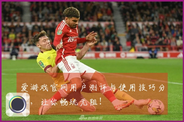 爱游戏官网用户测评与使用技巧分享，让你畅玩无阻！