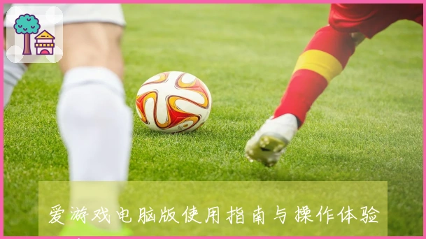 爱游戏电脑版使用指南与操作体验分享